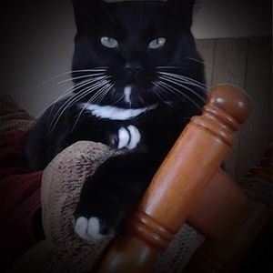 Meet your Posher, Mark